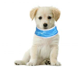 Mediawave Store Collare refrigerante per Cani in 4...