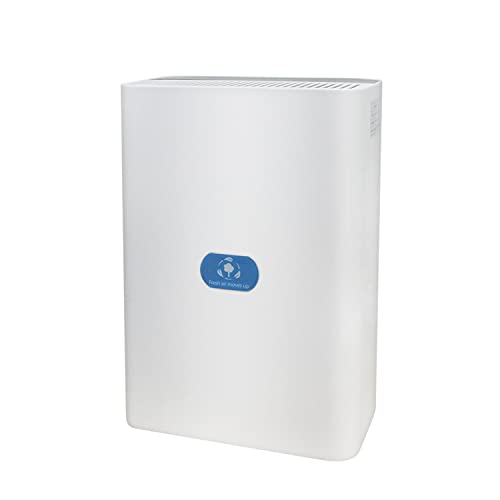 DDQQ Purificador de Aire para el hogar Cover