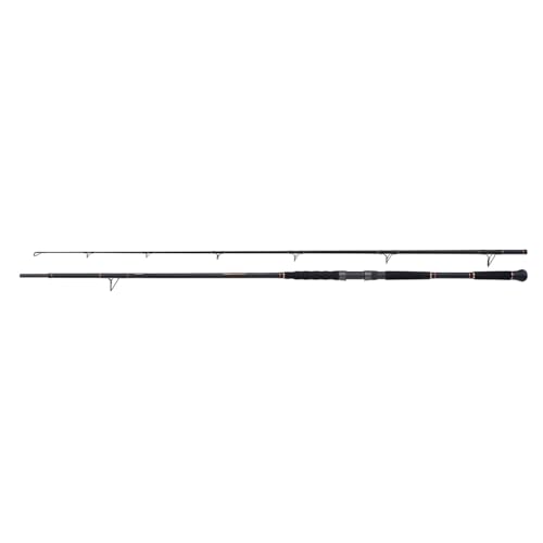  SHIMANO Canna Beastmaster AX Catfish 270cm 200g 2pc