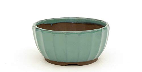 Bonsai Pavia | Macetas para Bonsais Japonesa Esmaltada 12,5 cm | con Forma de Flor de Loto | Esmaltada en Color Verde Agua | Tamaño 12,5x7 cm