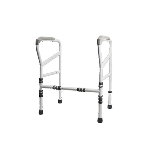 pi N 肷  gC̎肷 ܂肽 gC 萠  r֘A Ă  pێ ʕ⏕