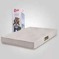 Colchão Castor Queen na Caixa Comfort Double Face D33 158x198x17cm
