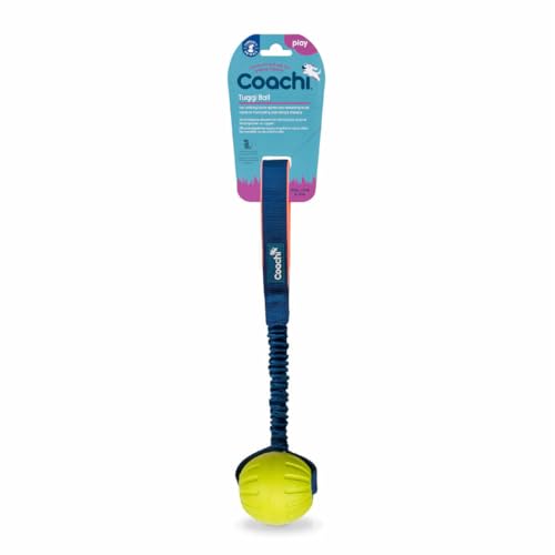 Coachi Tuggi Ball, Robustes Design, leicht, sicher, dehnbarer Bungee-Griff, ideal für alle Hunde & Welpen, Belohnungstraining, Rückruftraining, Unterbinden von Beißen & Kauen. Ideal für Agility.