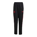 GR0633 adidas FC Bayern München Prematch Hose 2021/2022, 164
