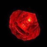 OASIS® Red Submersible Floral LED Lights (Pack of 10)