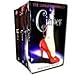 Marissa Meyer Lunar Chronicles Series Collection 4 Books Set- Cinder, Scarlet, Cress, Winter