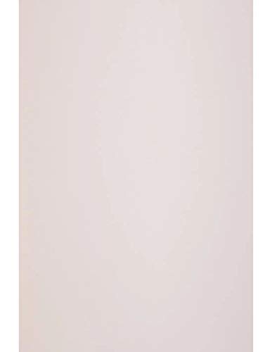 Netuno 10x Pastell Pink Feinkarton DIN A4