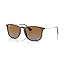 Transparent Brown / Brown Gradient Polarized