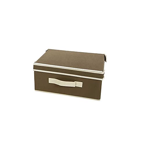 Novohogar Caja de Almacenaje Plegable con Tapa y Asa. Caja Organizadora. Caja de Almacenamiento Cover