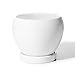POTEY 050601 Ceramic Plant Pot Planter - 4.8 Inch White Planters for Indoor Plants Flower Succulent with Drainage Hole Saucer