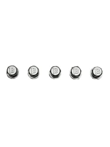 Ballistic Silver Replacement Beadlock Bolt & Washer Kit 5 PCS