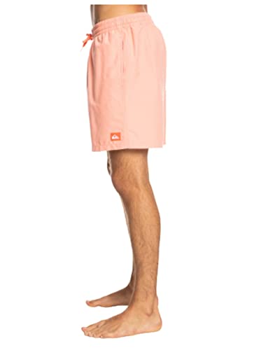 Quiksilver Men's Standard Everyday 17 Volley Swim Trunk Bathing Suit2