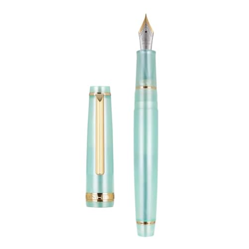Stylo-plume plume F Gold Clip en résine et métal noir 03 pour écriture