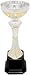 9.75 Inch Gold / Silver Metal Cup Trophy - Award