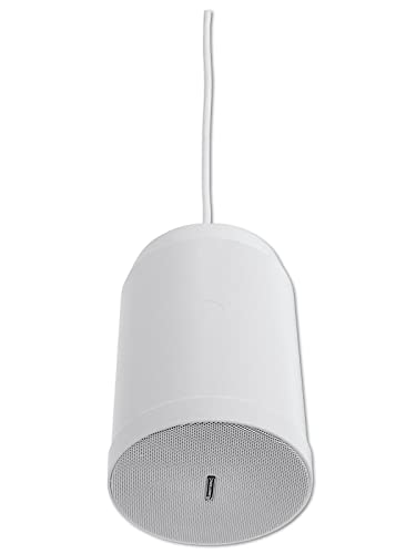 Haut-parleur de plafond Omnitronic WP-10W diffuseur audio encastré discret 10W