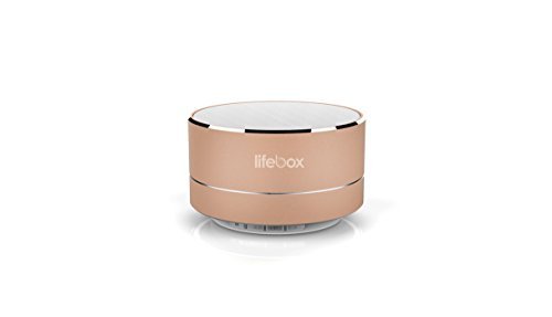 LifeBox A10 Ultra Portable Wireless Bluetooth Speaker with Luxury Design, Enhanced Bass and Micro SD Card Support. Compatible with iOS Devices, Android Devices, and MP3 Players - Champagne Gold