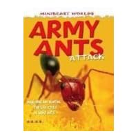 Mb Army Ants Attack Mini Beasts