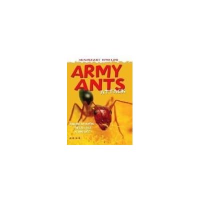 Mb Army Ants Attack Mini Beasts