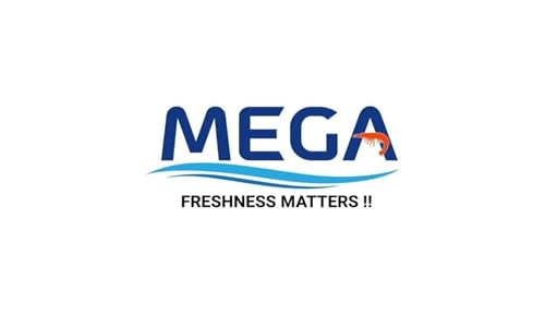 Image of Mega Jumbo Prawns 500g|Peeled & Deveined| (23-28Pcs) | Frozen