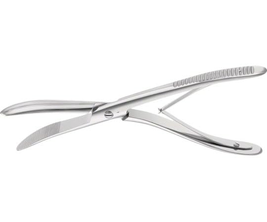 蘭紋 初期伊万里 酒杯(径7、2cm) 本金直 江戸時代 古伊万里 藍柿右衛門