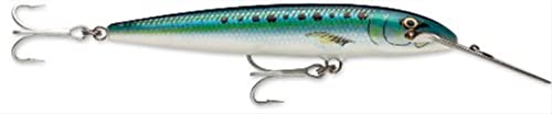 Rapala Countdown Magnum 11 Fishing lure, 4.375-Inch, Sardine