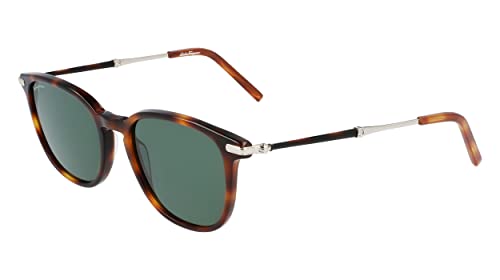 Ferragamo Men's Sf1015s 52Mm Sunglasses, Brown