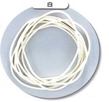 J[փS 16 FiRۉHj 100 tϔ