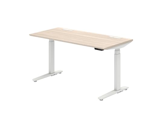IJ XCtgCg d~fXN X^fBOfXN ȈՑg o[XCb`CWP[^L vCYEbhCg/zCg 140cm×s70cm 3S2EMH-MBL2