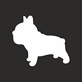 AMA SHOP