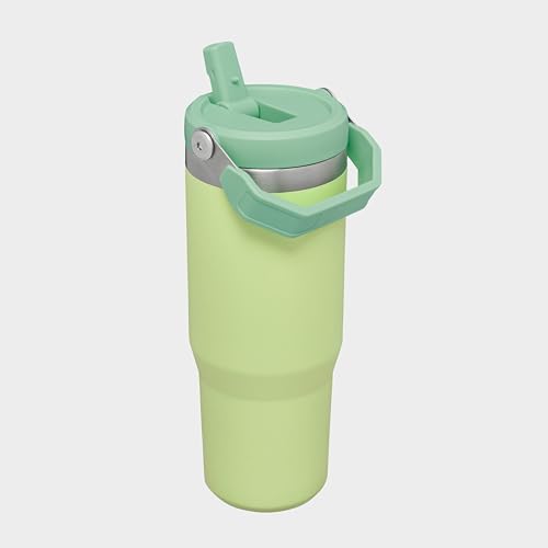 Image of Stanley IceFlow Flip Straw Tumbler with Handle 30 oz | Twist On Lid and Flip Up Straw | Leak Resistant Water Bottle | Insulated Stainless Steel |BPA-Free | Citron