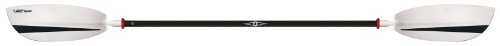 Best Bic Sport Inflatable Kayak