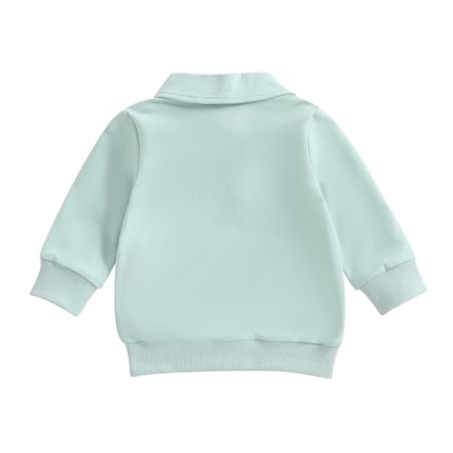 Toddler Boy Dinosaur Sweatshirts Long Sleeve Lapel Collar Button Pullover Tops Kids Infant Baby Fall Winter Clothes4