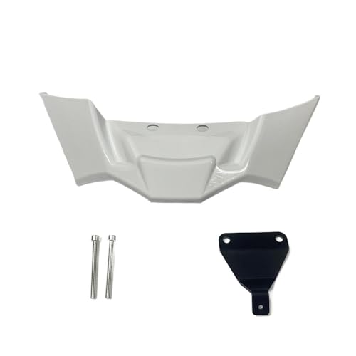Carénages ailes latérales pour S1000R M1000R 2021-2024 aileron lèvre avant