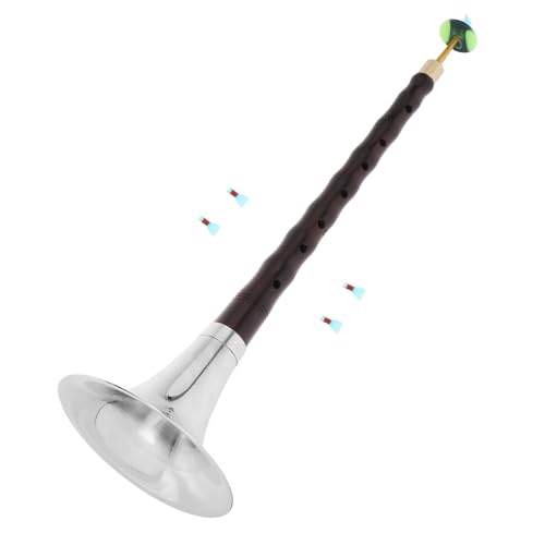 ERINGOGO 1Set Professional Instrument for Beginners Traditional Rosewood Wind Instrument for Practice C Key with Reed for Students and Music Enthusiasts