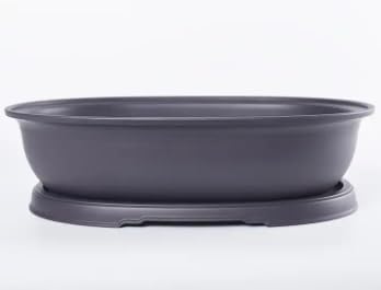 CZ Grain 10 Inch Oval Bonsai Pots and Drip Tray - Heavy Duty Didspay Pot (1 Pot)