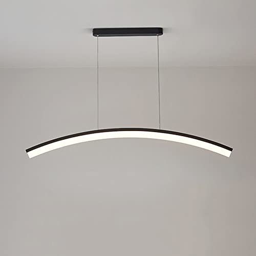 Suspension de fer créative avec fil réglable de 120 cm et éclairage décoratif LED 18W