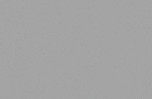 Rust-Oleum 225359 Epoxy Shield Gray Base Single Part 1-Gallon Armor Concrete Floor Acrylic Paint thumb #1
