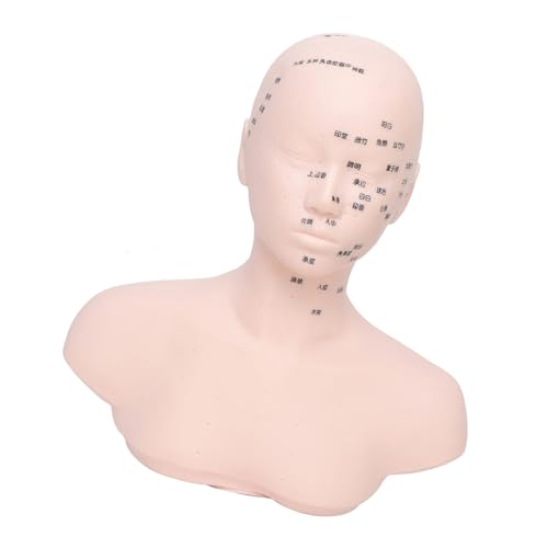 Tête de massage professionnelle avec repères Meridian pour perfectionner la pressothérapie en spa