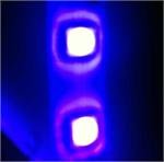 Tira LED flexible impermeable UV púrpura NovaBright 5050SMD miniatura 2