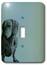 3dRose LLC lsp_130560_1 Adorable Daschund Dog Pets Animals Single Toggle Switch