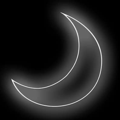 Moon Neon Sign/Light (10x10 inches) Neon LED Light, Decorative Light for Room, Glass Tube Lights Sign for Bedroom, Party and Bar…… (Cool White)