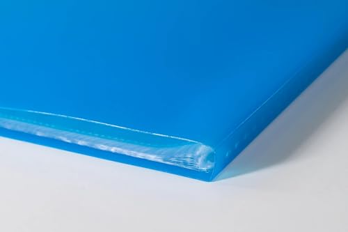 Exacompta – Nr ref. 85462E – Karton 12 Chromaline Teczka na dokumenty – 40 gładkich kieszeni kryształowych – 80 widoków – dla A4 – wymiary 24 x 32 cm – półsztywna półprzezroczysta okładka z polipro –