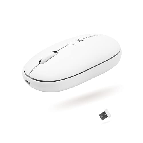 X9 2.4G Wireless Mouse - Quiet and Comfortable Computer Mouse with USB Receiver and 3 Adjustable Levels - Cordless Mouse Wireless Mice for Windows Mac PC Notebook Chromebook