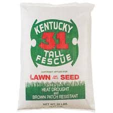 Kentucky 31 Festuca 10 LB