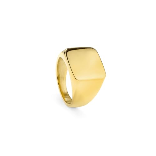 Bague Radiant RH000027-24 l'élégance intemporelle d'un anneau en métal