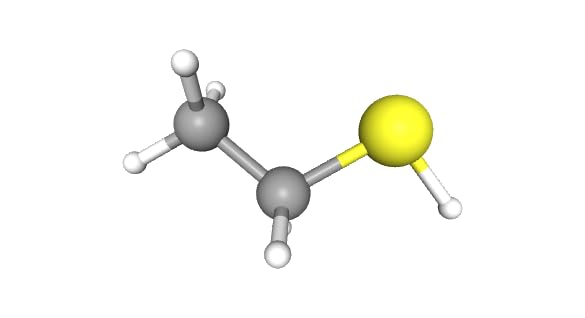 Sodium ethanethiolate 95% |CPL-S1447| 811-51-8