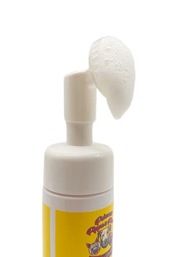 Princess Pippa's Place Deep Cleansing Foaming Face Wash With Attached Exfolliating Silicone Scrub Brush (Vitamin C) (5 Oz) #TOP7