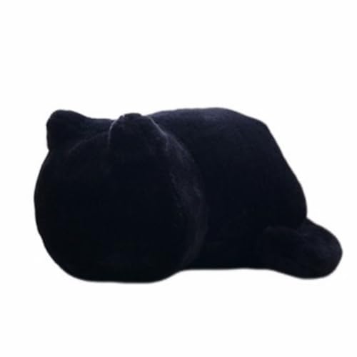 ӂӂ L^ NbV L ˂ ʂ  NbV L NbV ˂  ܂ ʂ lR L Lbg ӂӂ CeA G ˂D v[g