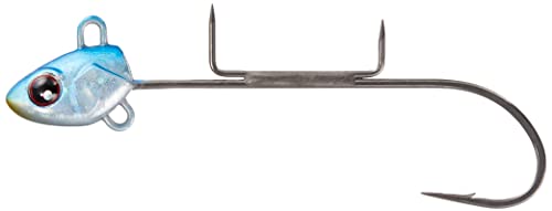 Shore Thick Sword Fish tenya Silver Dragon