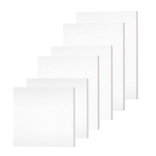 Juego de 6 Lienzo, Lienzos en Blanco de 3 Tamaños 20 x 20, 20 x 25, 20 x 30 cm, Lienzos Pintar de Algodón Blanco, Apto para Pintura al Aceite, Acrílica y Acuarela